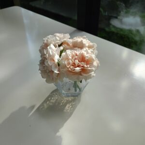 corporate yacht charter