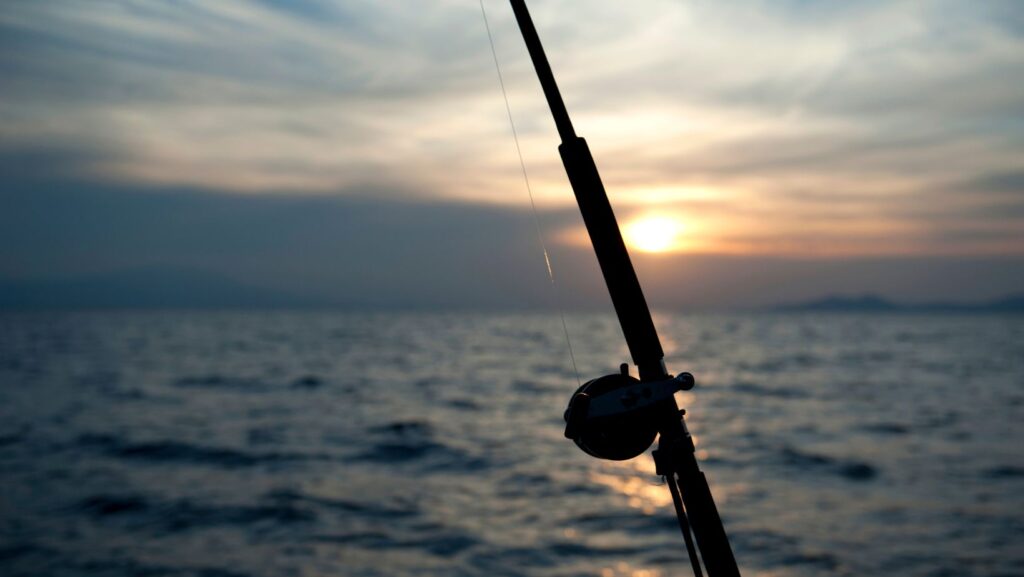 fishing charter