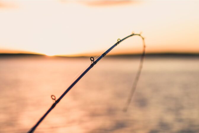 Best Fishing Charters in Singapore | Parlay