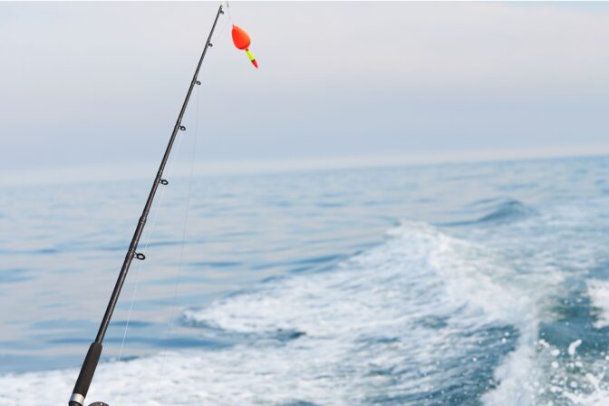 Fishing Charters for Private Angling Trips