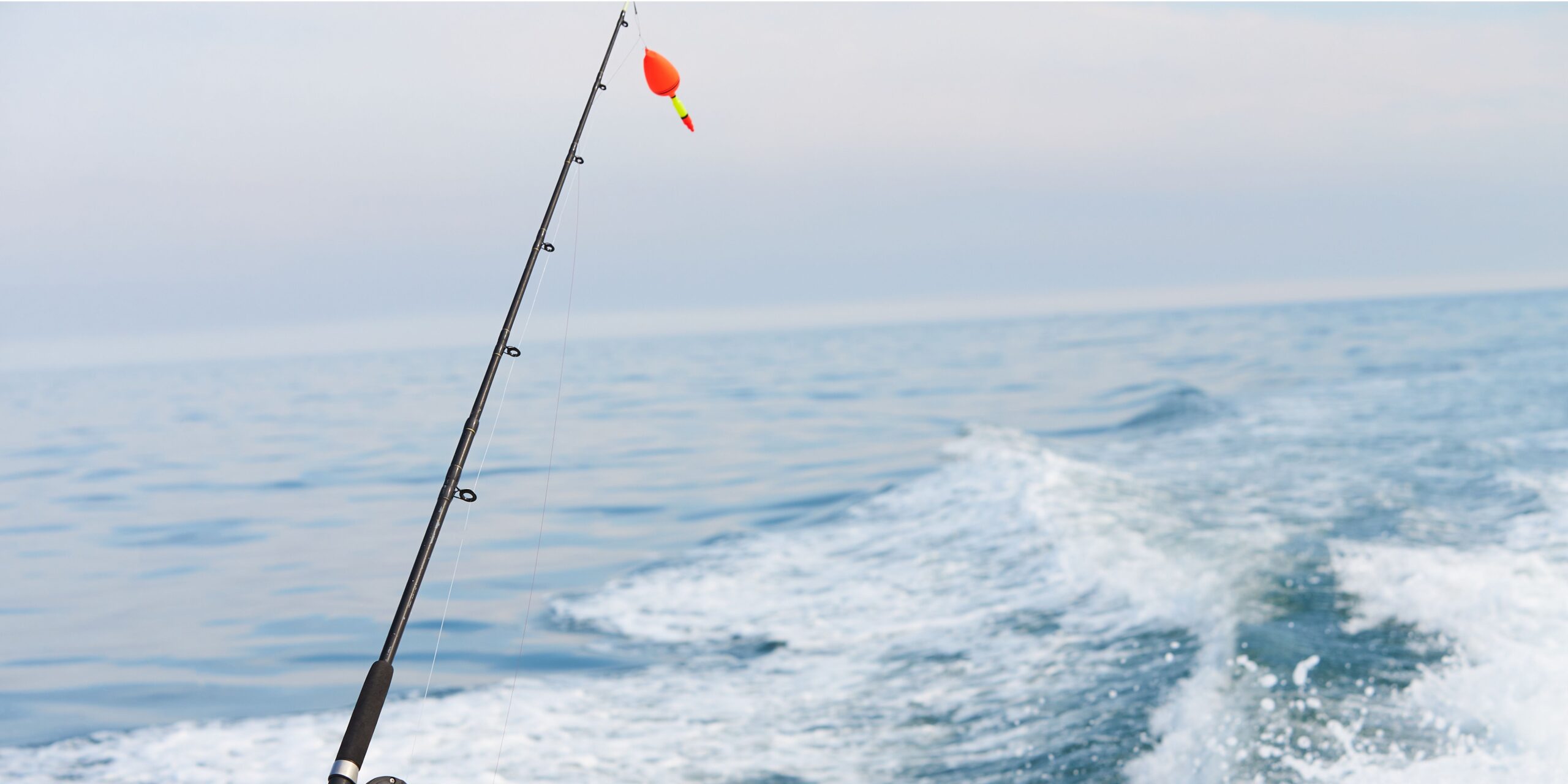 Fishing Charters for Private Angling Trips