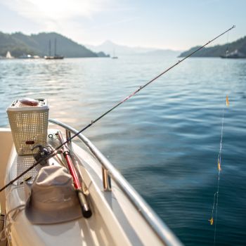 fishing charter